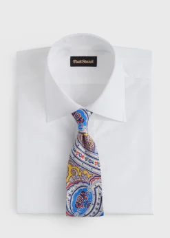 Silk Ornamental Paisley Tie