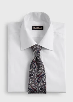 Silk Ornamental Paisley Tie