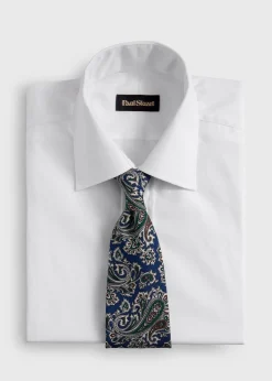 Silk Ornamental Paisley Tie