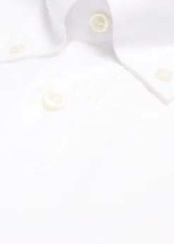 Super 140s Cotton Button Down Collar Dress Shirt